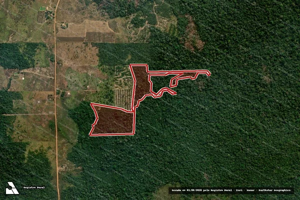 Imagem de satélite de Infração da Flora em Porto Velho - RO