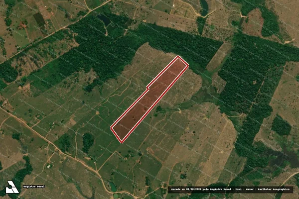 Imagem de satélite de Infração da Flora em Machadinho D'Oeste - RO