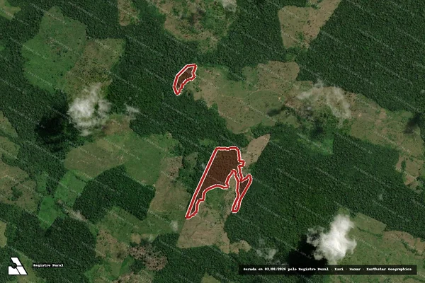 Imagem de satélite de Infração da Flora em Óbidos - PA