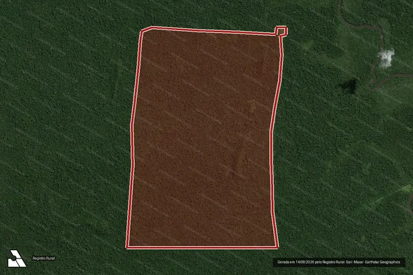 Imagem de satélite de Infração Ambiental em Altamira - PA