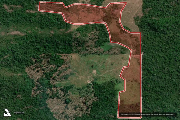 Imagem de satélite de Infração da Flora em São Félix do Xingu - PA