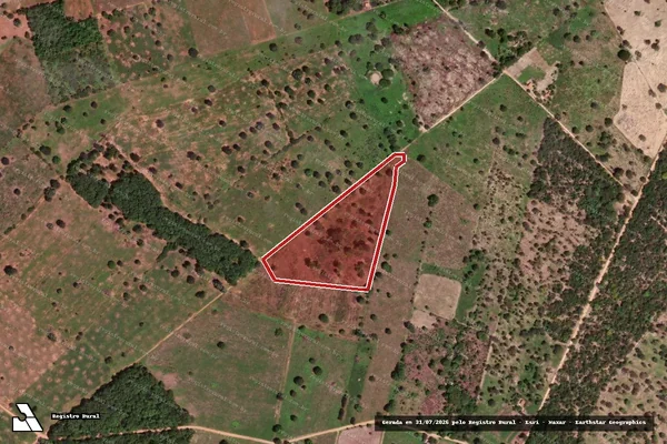 Imagem de satélite de Infração da Flora em Pintópolis - MG
