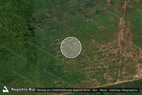 Imagem de satélite de Infração Ambiental em Marcelândia - MT