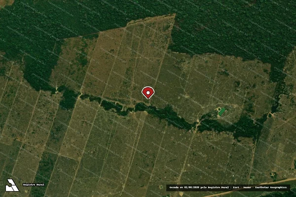Imagem de satélite de Infração Ambiental em Porto Velho - RO (marcador da localização)
