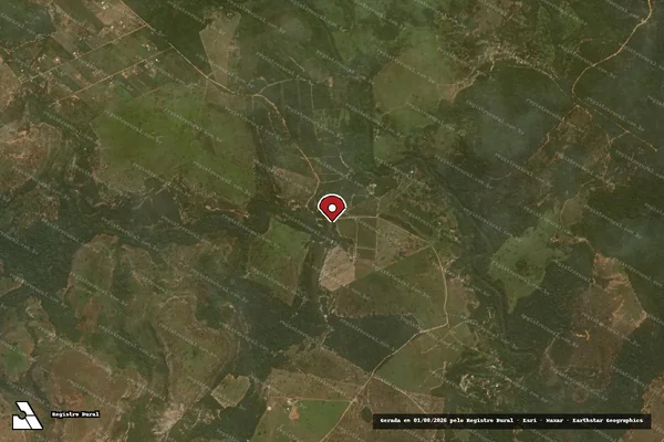 Imagem de satélite de Infração Ambiental em Mineiros - GO (marcador da localização)