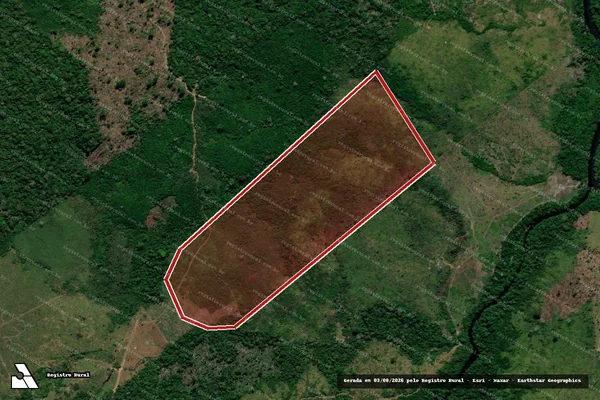 Imagem de satélite de Infração Ambiental em Apuí - AM