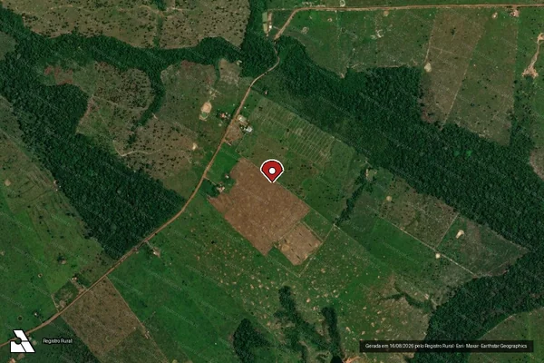 Imagem de satélite de Infração Ambiental em Porto Velho - RO (marcador da localização)