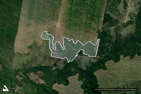 Imagem de satélite — Embargo IBAMA — Infração da Flora — Dom Eliseu/PA
