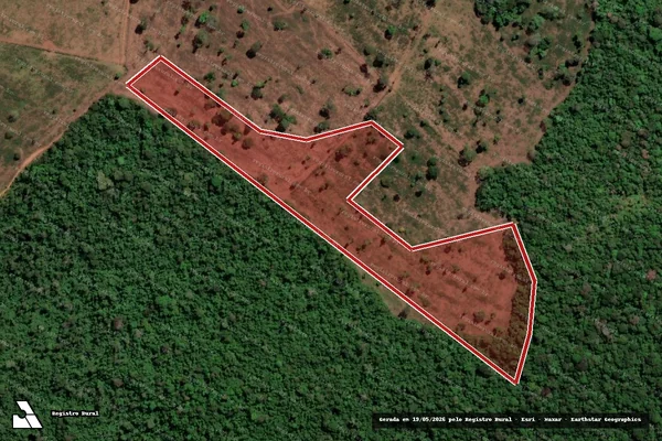 Imagem de satélite de Infração Ambiental em Novo Progresso - PA