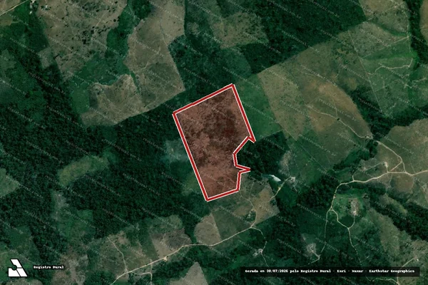 Imagem de satélite de Infração da Flora em Bom Jesus do Tocantins - PA
