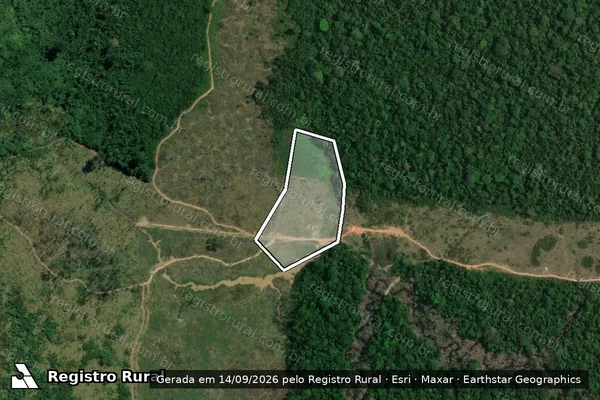Imagem de satélite — Embargo IBAMA — Infração da Flora - Humaitá/AM