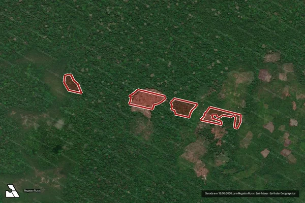 Imagem de satélite de Infração da Flora em Portel - PA