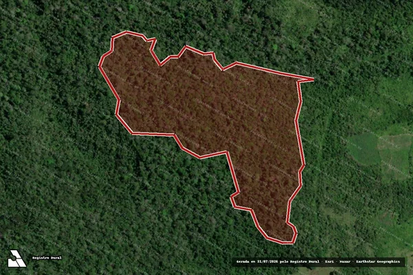 Imagem de satélite — Embargo Ambiental - Santarém/PA