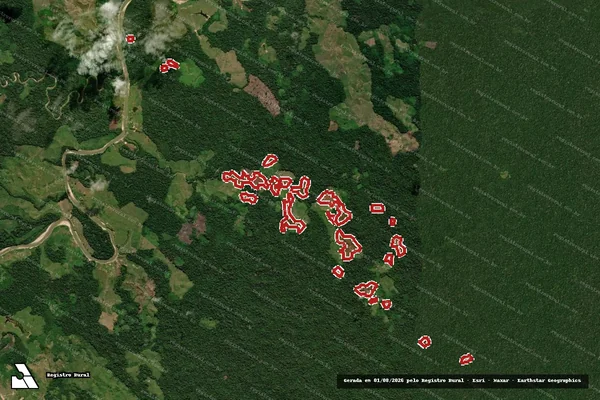 Imagem de satélite de Infração da Flora em Tarauacá - AC