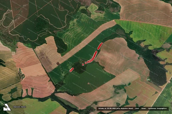 Imagem de satélite de Infração da Flora em Carambeí - PR