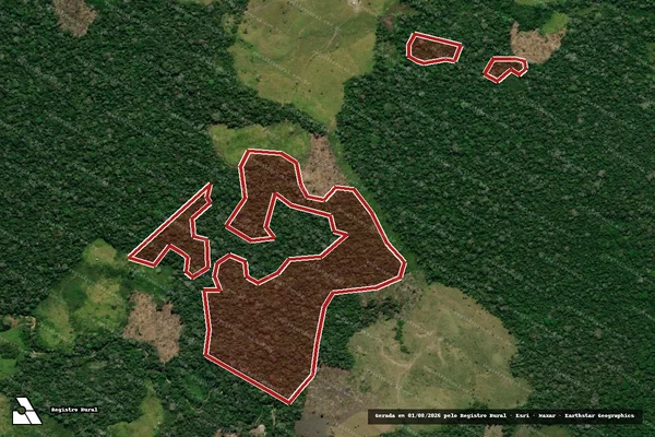 Imagem de satélite de Infração da Flora em Feijó - AC