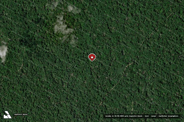 Imagem de satélite de Infração da Flora em Medicilândia - PA (marcador da localização)