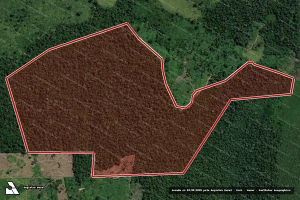 Imagem de satélite de Infração Ambiental em Humaitá - AM
