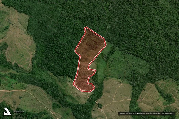 Imagem de satélite — Embargo IBAMA — Infração da Flora - Itupiranga/PA