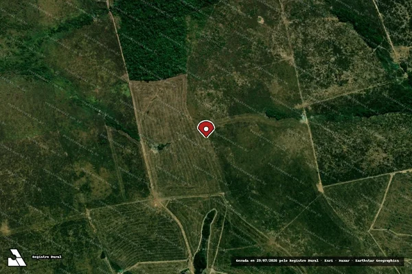 Imagem de satélite de Infração da Flora em Confresa - MT (marcador da localização)