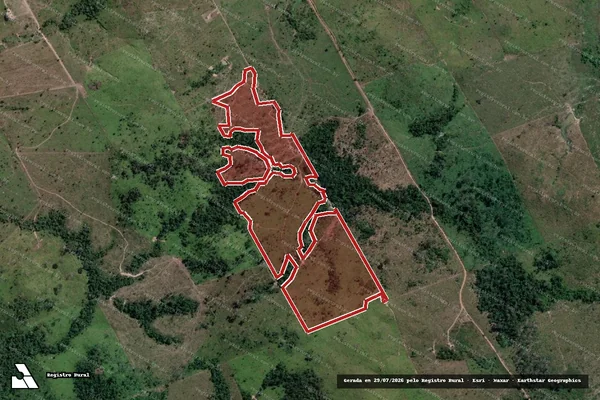 Imagem de satélite de Infração da Flora em Novo Progresso - PA