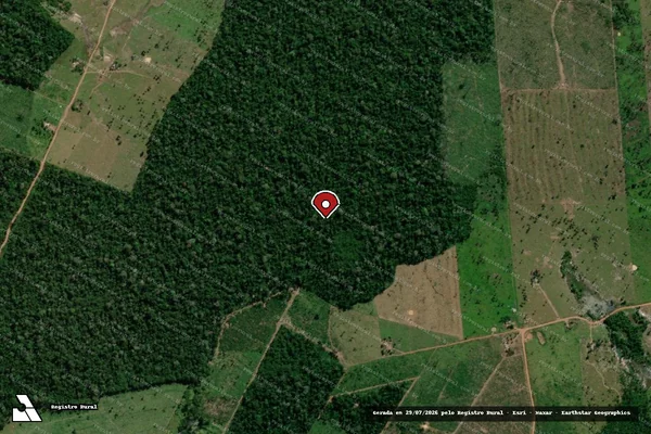 Imagem de satélite de Infração Ambiental em Nova Mamoré - RO (marcador da localização)