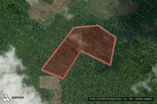 Imagem de satélite — Embargo IBAMA — Infração da Flora — Vitória do Jari/AP
