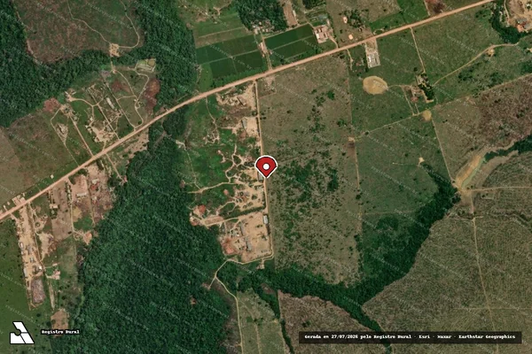 Imagem de satélite de Infração Ambiental em Manicoré - AM (marcador da localização)