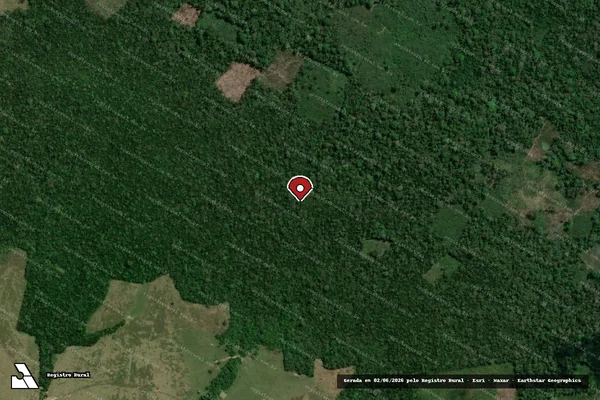 Imagem de satélite de Infração da Flora em Santarém - PA (marcador da localização)