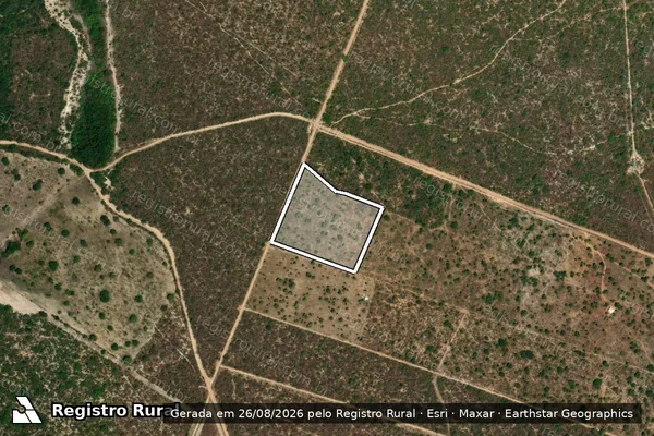 Imagem de satélite de Infração da Flora em Damianópolis - GO