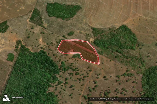 Imagem de satélite de Infração da Flora em Água Boa - MT