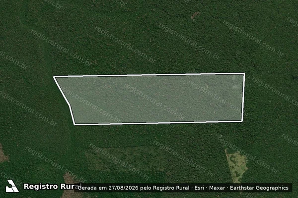 Imagem de satélite de Infração da Flora em Novo Aripuanã - AM