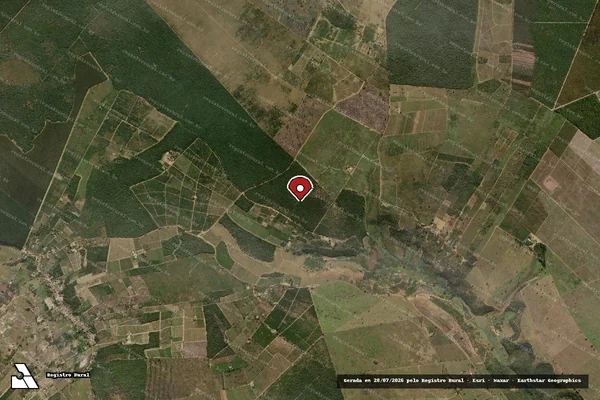 Imagem de satélite de Infração da Flora em Cândido Sales - BA (marcador da localização)