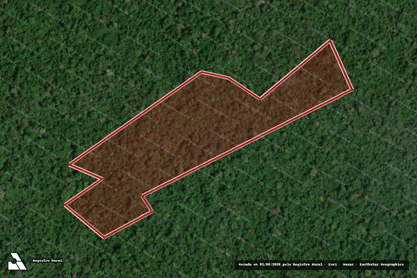 Imagem de satélite — Embargo Ambiental - Rorainópolis/RR