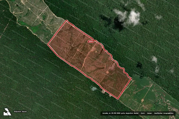 Imagem de satélite de Infração da Flora em Rorainópolis - RR