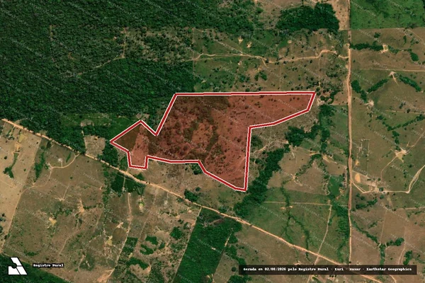 Imagem de satélite de Infração da Flora em Porto Velho - RO