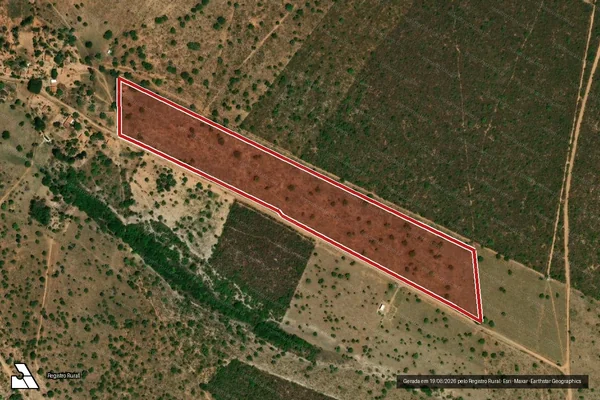 Imagem de satélite — Embargo IBAMA — Infração da Flora - Damianópolis/GO