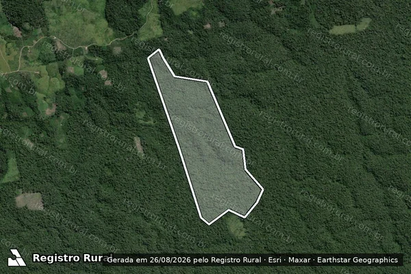 Imagem de satélite de Infração Ambiental em Placas - PA