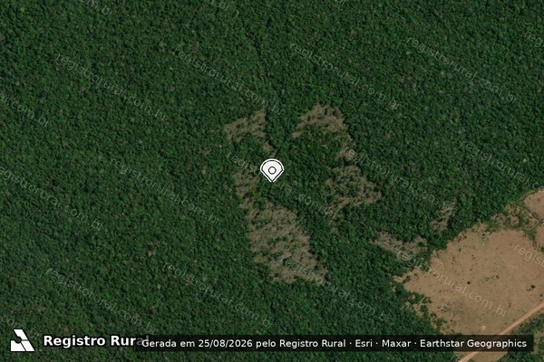 Imagem de satélite de Infração Ambiental em Apuí - AM (marcador da localização)