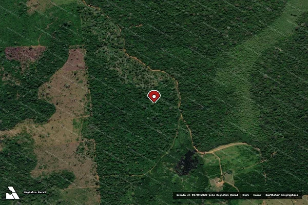 Imagem de satélite — Embargo IBAMA — Infração da Flora — Trairão/PA