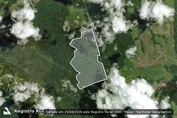 Imagem de satélite de Infração da Flora em Medicilândia - PA