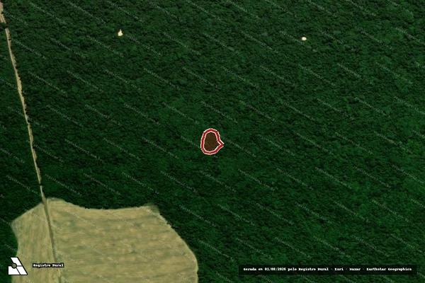 Imagem de satélite de Infração Ambiental em Paragominas - PA