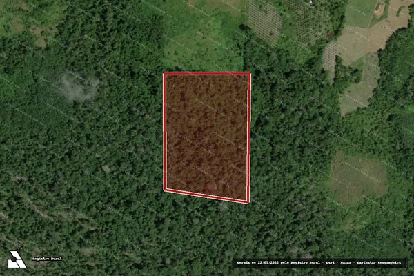 Imagem de satélite de Infração Ambiental em Rorainópolis - RR