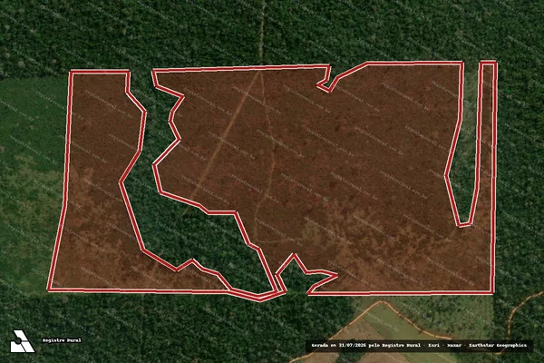 Imagem de satélite de Infração Ambiental em Aripuanã - MT