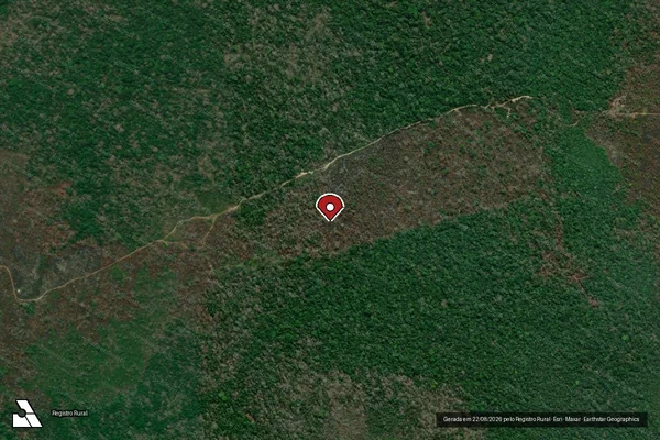 Imagem de satélite de Infração da Flora em Lábrea - AM (marcador da localização)