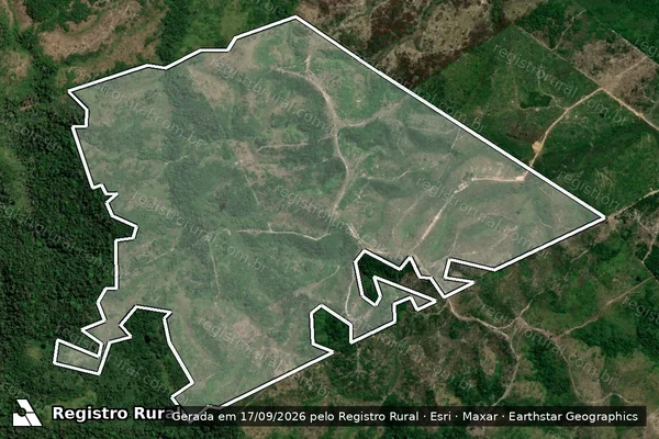Imagem de satélite — Embargo IBAMA — Infração da Flora - Apuí/AM