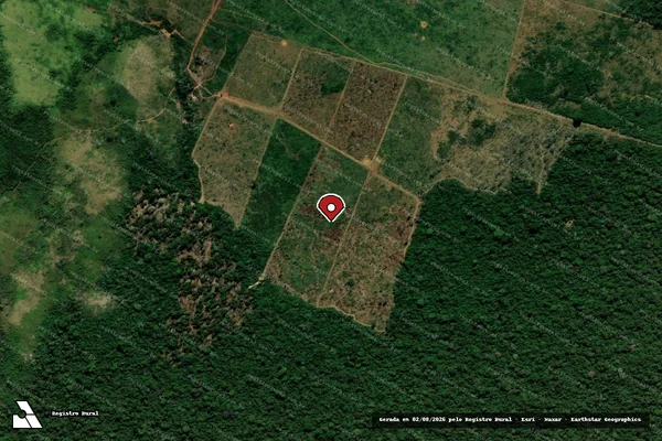 Imagem de satélite de Infração da Flora em Manaus - AM (marcador da localização)