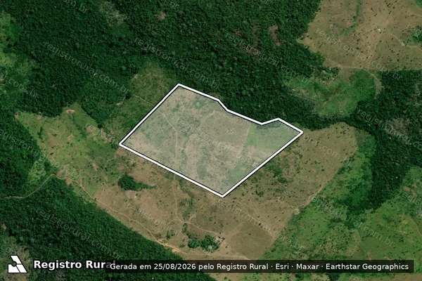 Imagem de satélite de Infração Ambiental em Novo Repartimento - PA
