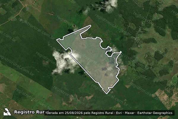 Imagem de satélite de Infração da Flora em Vitória do Mearim - MA