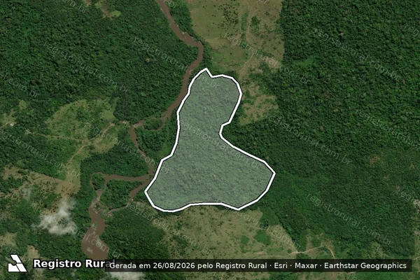 Imagem de satélite de Infração da Flora em Pacajá - PA